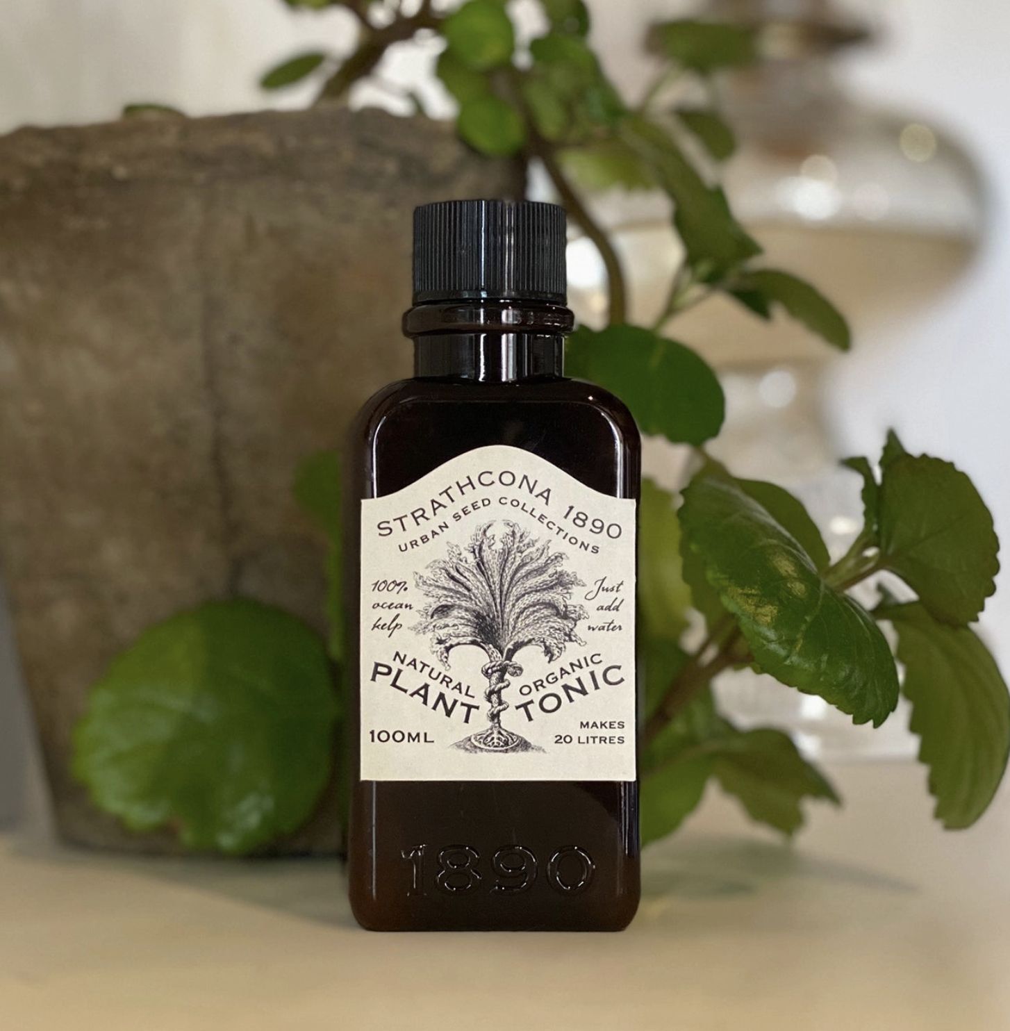 Plant Tonic 100ml
