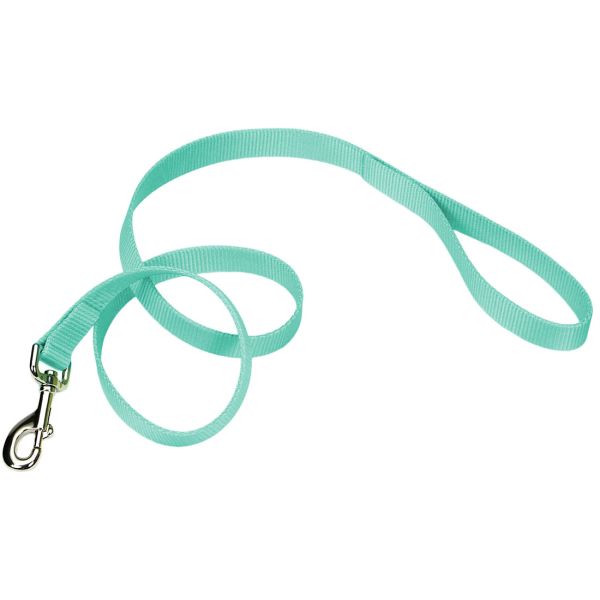 Coastal Single-Ply Leash Teal 3/4"x6'