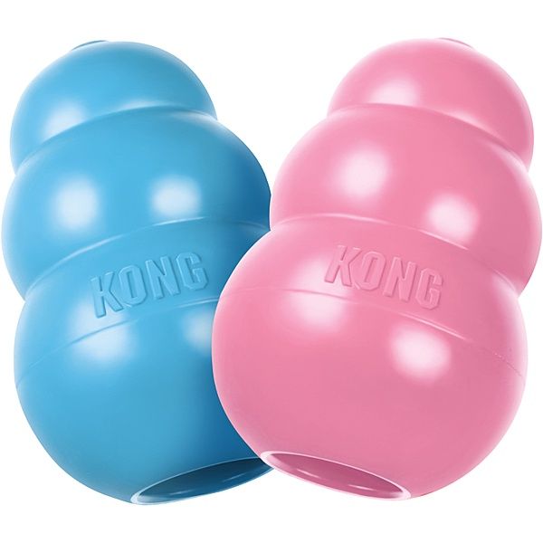 KONG Small | Puppy