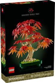 10348 Japanese Red Maple Bonsai Tree