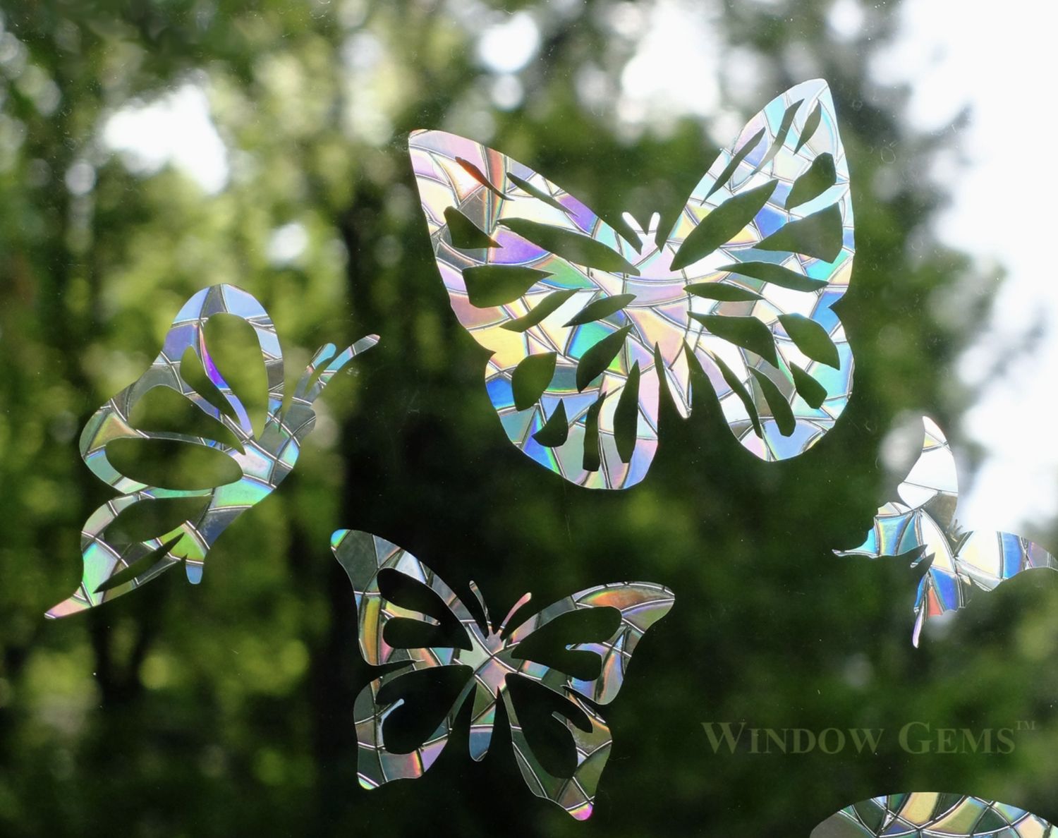 Suncatcher Window Clings - Prismatic - Prevent Strikes