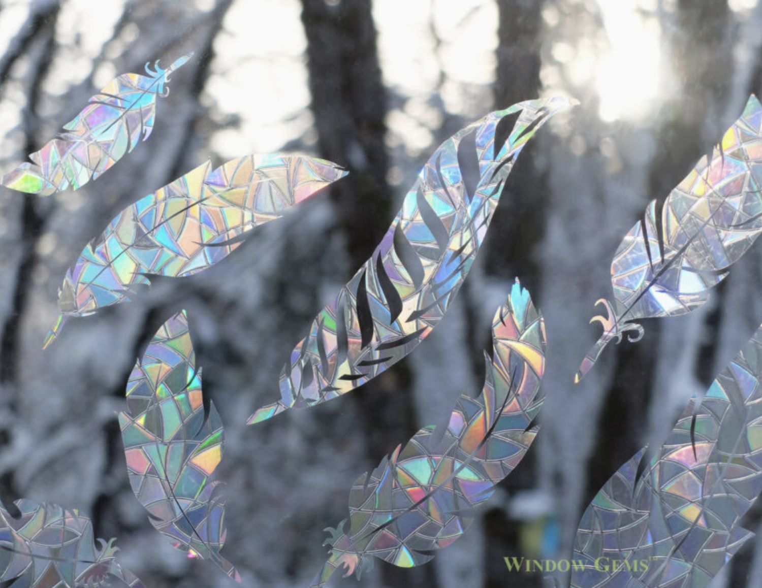 Feather Suncatcher - Window Clings - Prevent Bird Strikes