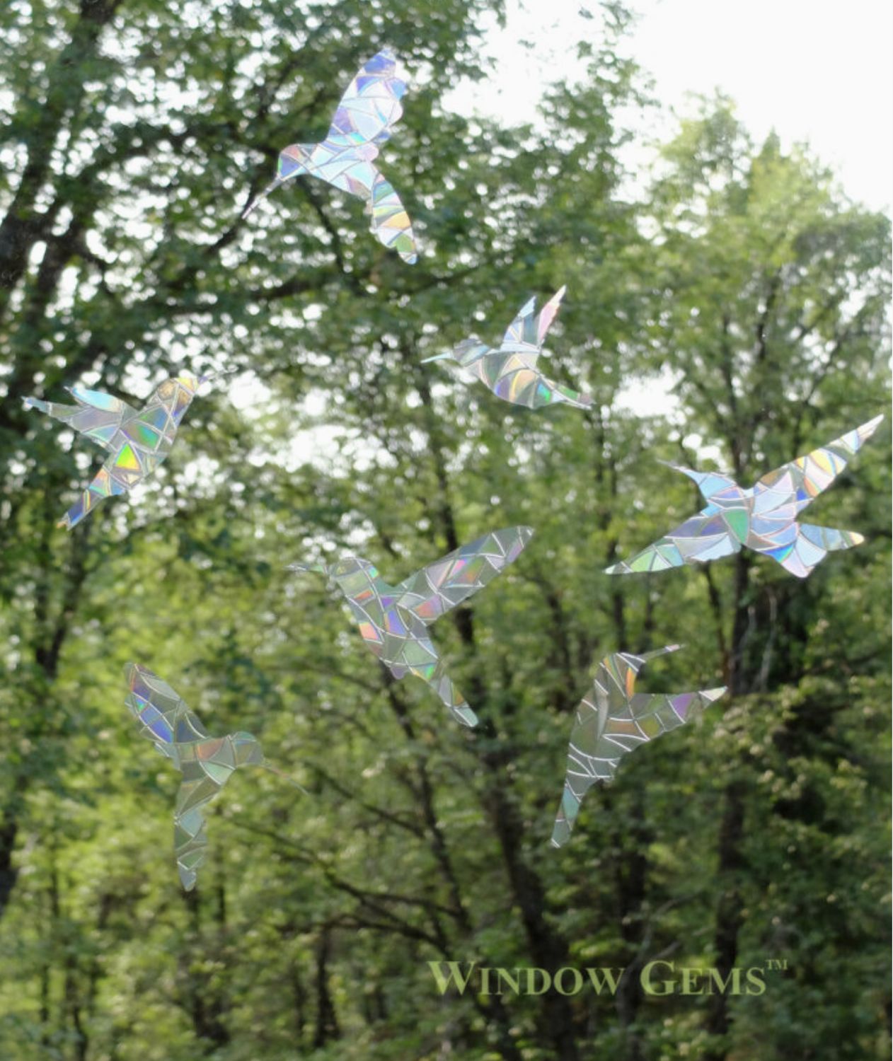 Hummingbird Window Clings, Prismatic Decals Bird Protection