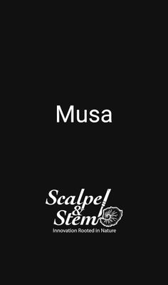 Musa