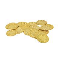 TREASURE COINS 30CT NET