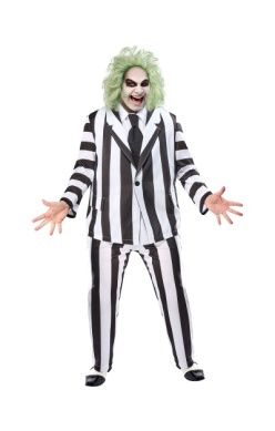 BEETLEJUICE ADULT WIG