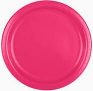 PAPER PLATES LG HOT PINK 20CT
