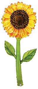 250 BALLOON SUNFLOWER XL