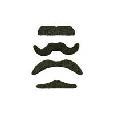 PARTY FAVORS MUSTACHE 4CT