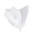 TISSUE PAPER WHITE