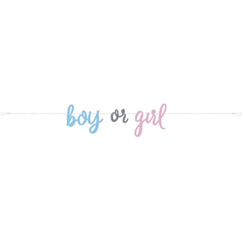 Banner Gender Reveal