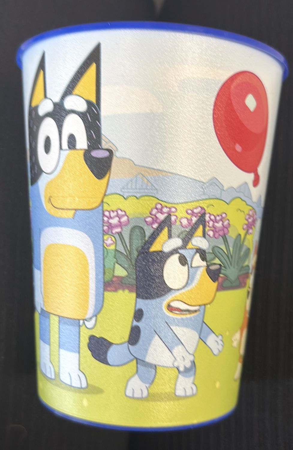 BLUEY PLASTIC CUP 16oz