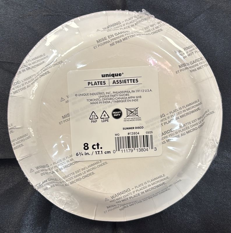 Paper Plate Small Summer Disco