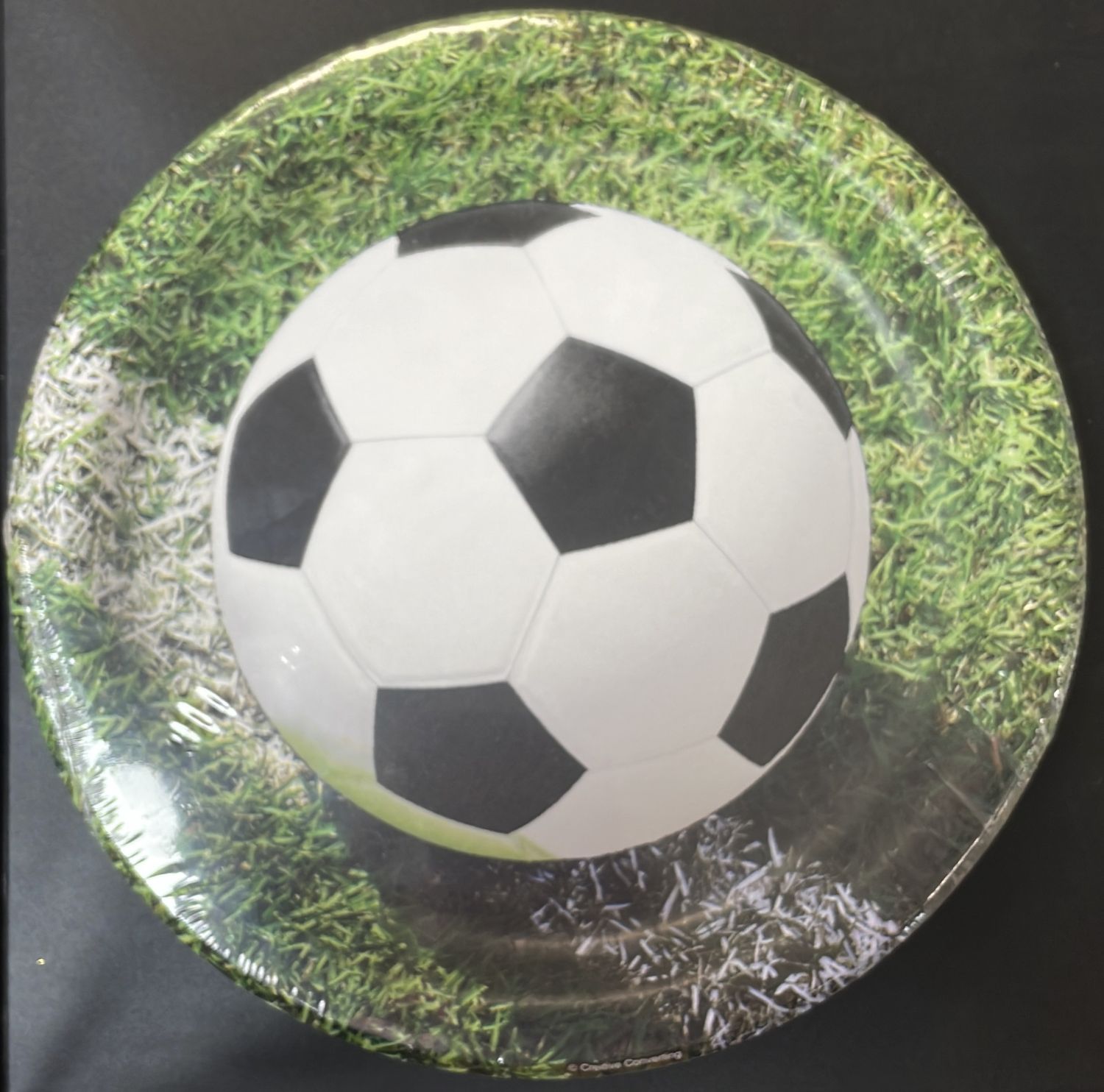 PAPER PLATE LARGE SOCCER - 2