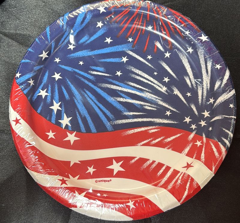 PAPER PLATE SMALL FIREWORKS 4TH OF JULY