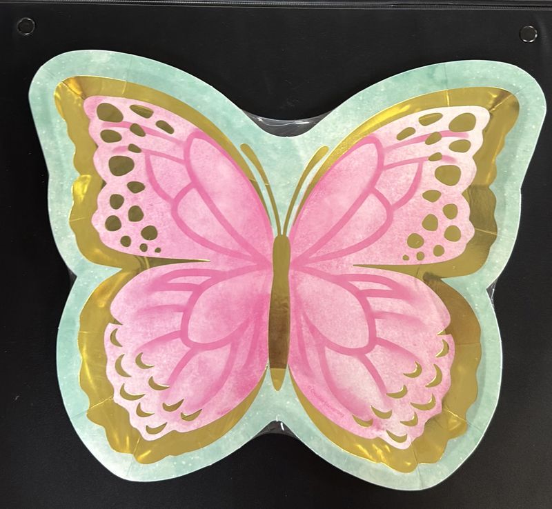 PAPER PLATE BUTTERFLY SHIMMER