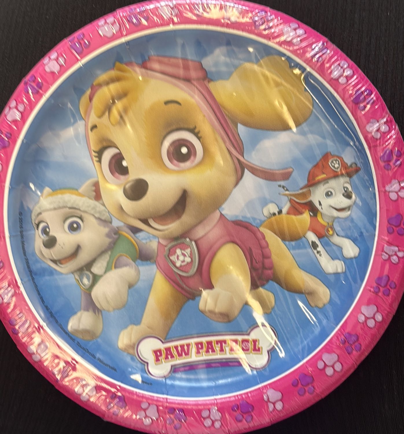 PAPER PLATE SMALL PAW PATROL GIRL
