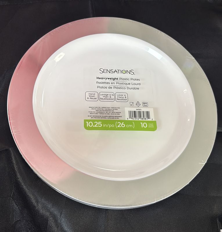 Plastic Plate Large Silver Trim