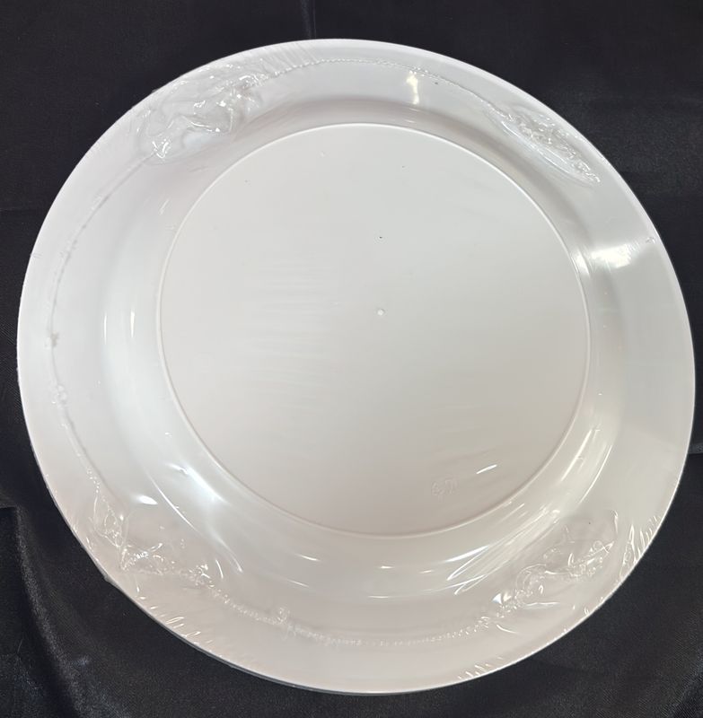 Plastic Plate Large Silver Trim