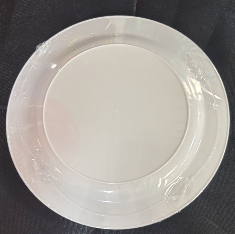 Plastic Plate Small Silver Trim