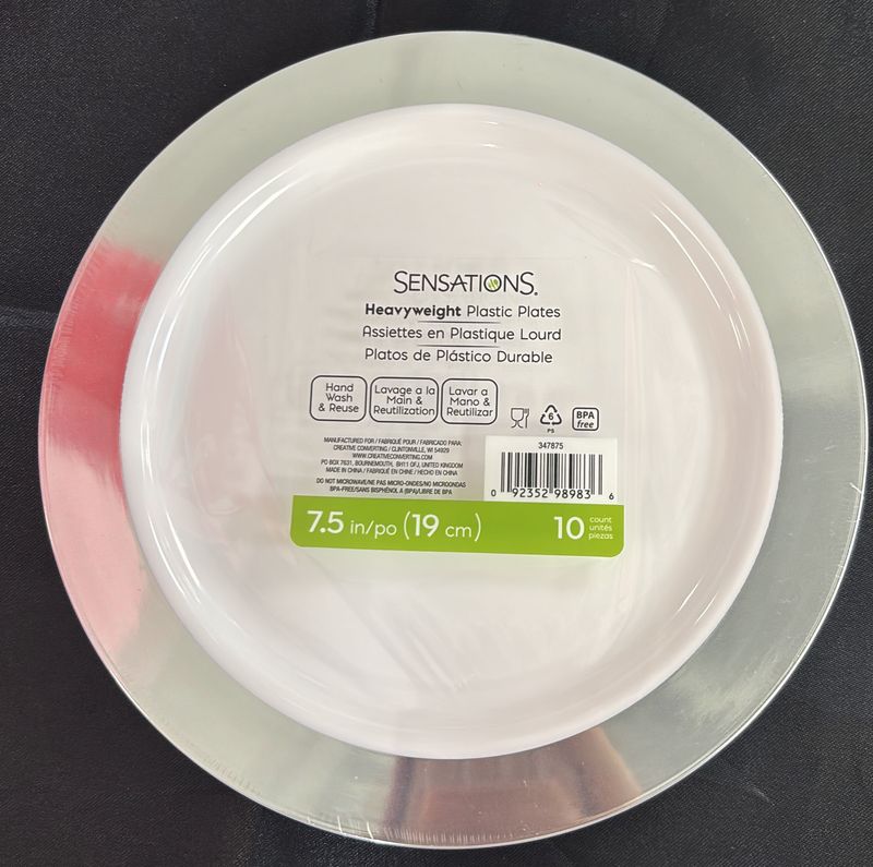 Plastic Plate Small Silver Trim