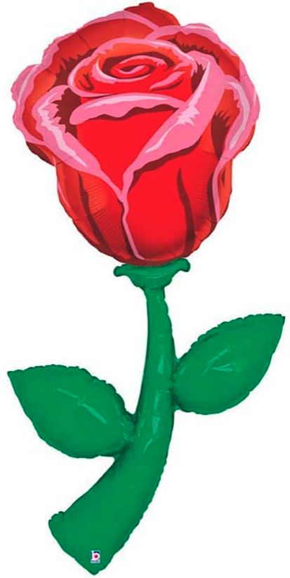 251 BALLOON ROSE STEM XL