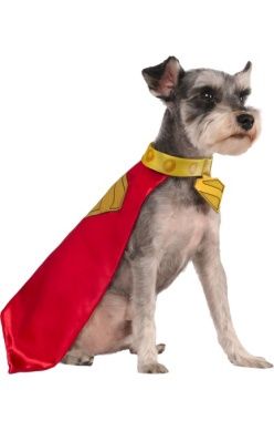 Krypto Pet Cape &amp; Collar, Size: LARGE