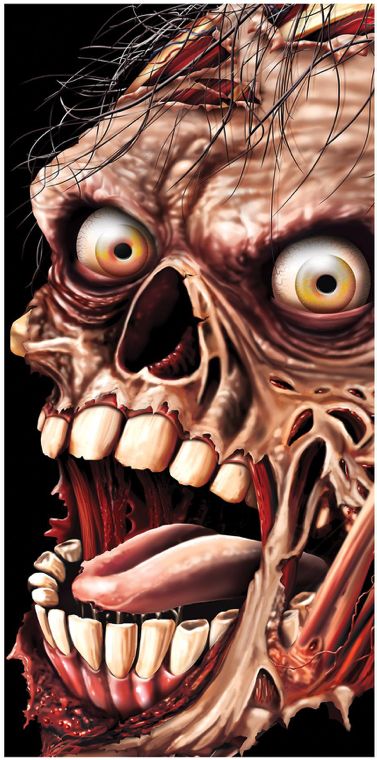 ZOMBIE DOOR COVER 5'X30"