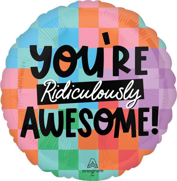 You'Re Ridiculously Awesome 18"