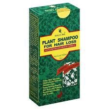 DEITY PLANT SHAMPOO FOR HAIR LOSS 8OZ