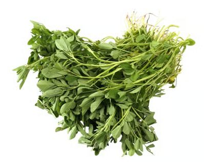 Fenugreek (Methi)
