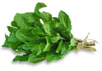 Mint Leaves (Pudina)