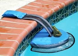 The Original Frog Log