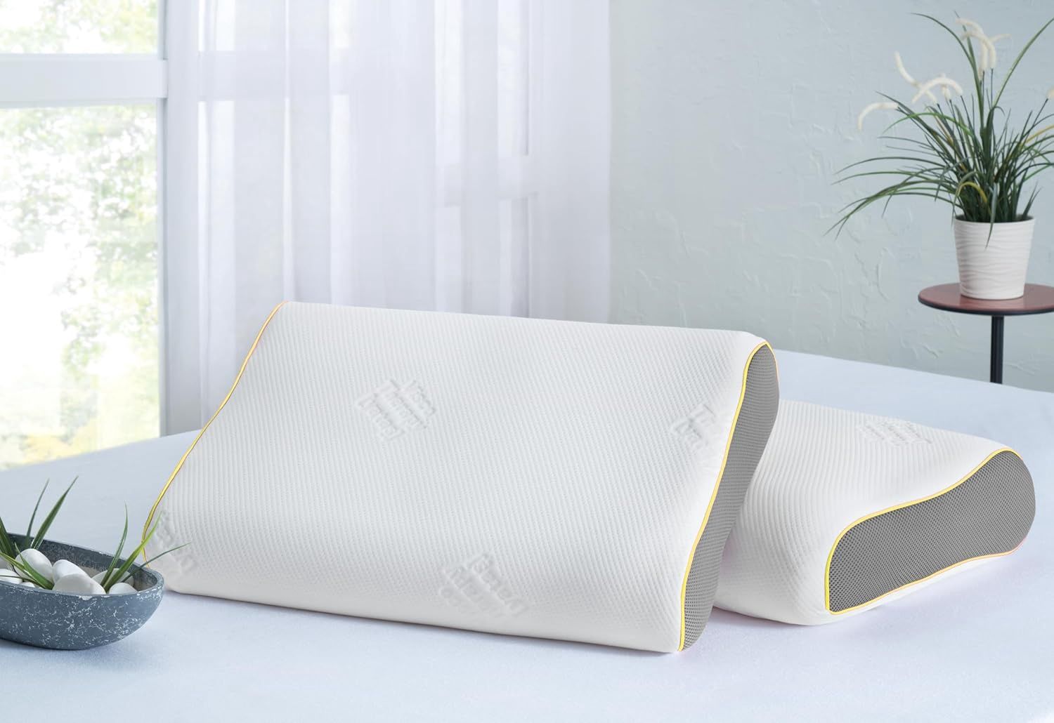 VISCO THERAPY NECK PILLOW