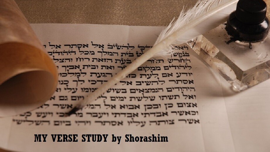 MY VERSE study by SHORASHIM MY VERSE study by SHORASHIM