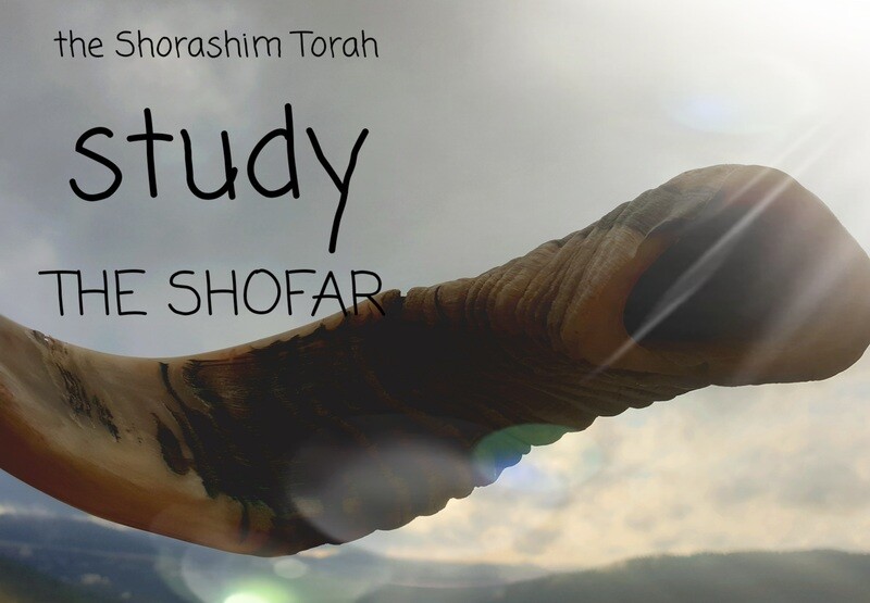 THE SOUND OF THE SHOFAR ( Shorashim Torah Study)