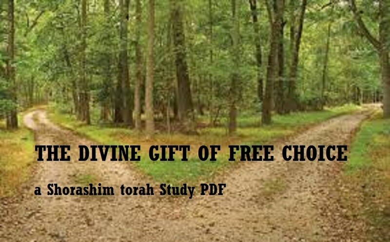 Divine Gift of Free Choice ( a Torah study PDF)