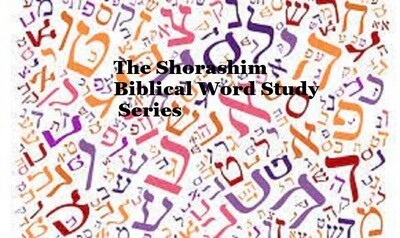 THE  BIBLICAL WORD STUDY