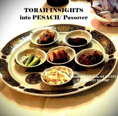 INSIGHTS INTO PESACH /PASSOVER PDF study