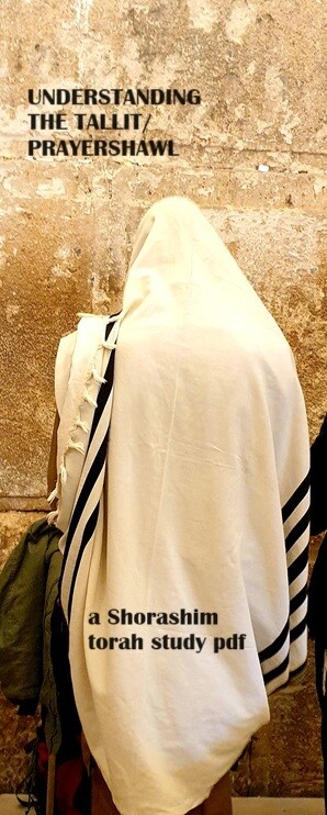 UNDERSTANDING THE TALLIT ( Prayer Shawl) PDF