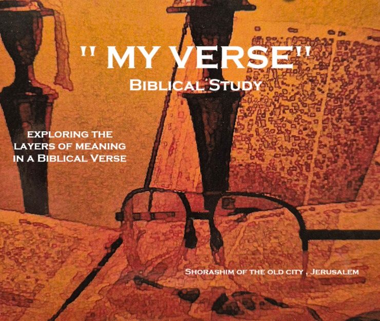 STUDY OF A BIBLICAL VERSE