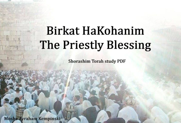 BIRKAT KOHANIM / PRIESTLY BLESSINGS study PDF BIRKAT KOHANIM / PRIESTLY BLESSINGS study PDF