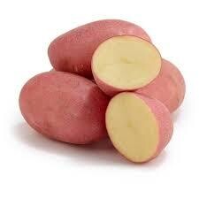 紅皮薯仔 (馬鈴薯) / Red Skin Potato (300 g)
