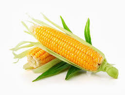 栗米 / Sweet Corn (1 pc)