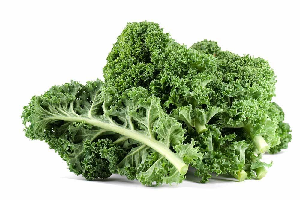 皺葉羽衣甘藍 /  Curly Kale, Green (150 g)