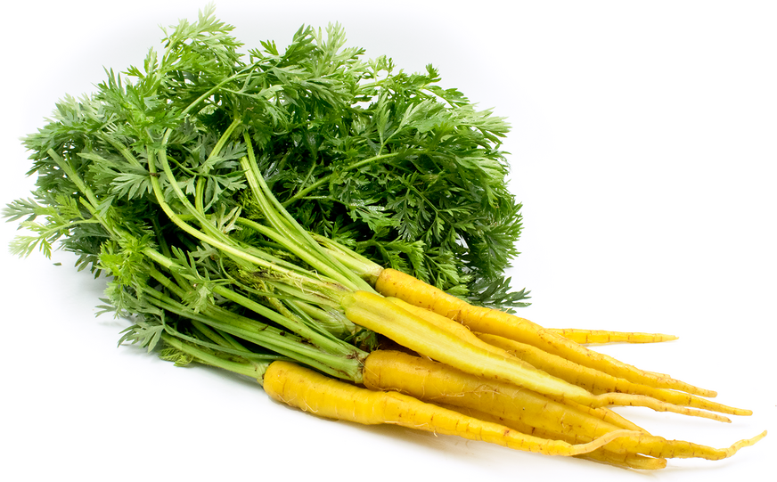 黃甘筍 / Yellow Carrot (300 g)