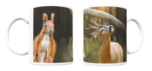 Kubek WIEWIÓRKA i SARNA