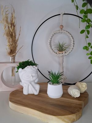 Bloempotjes en decoratie