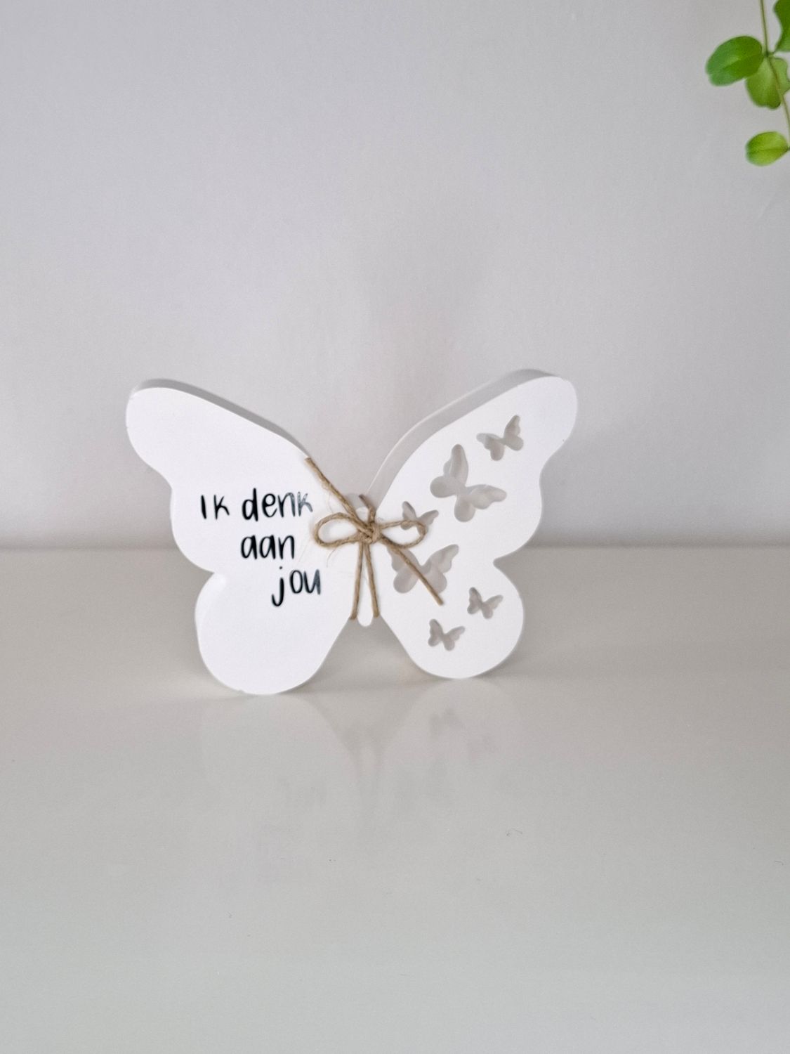 Vlinder - ik denk aan jou