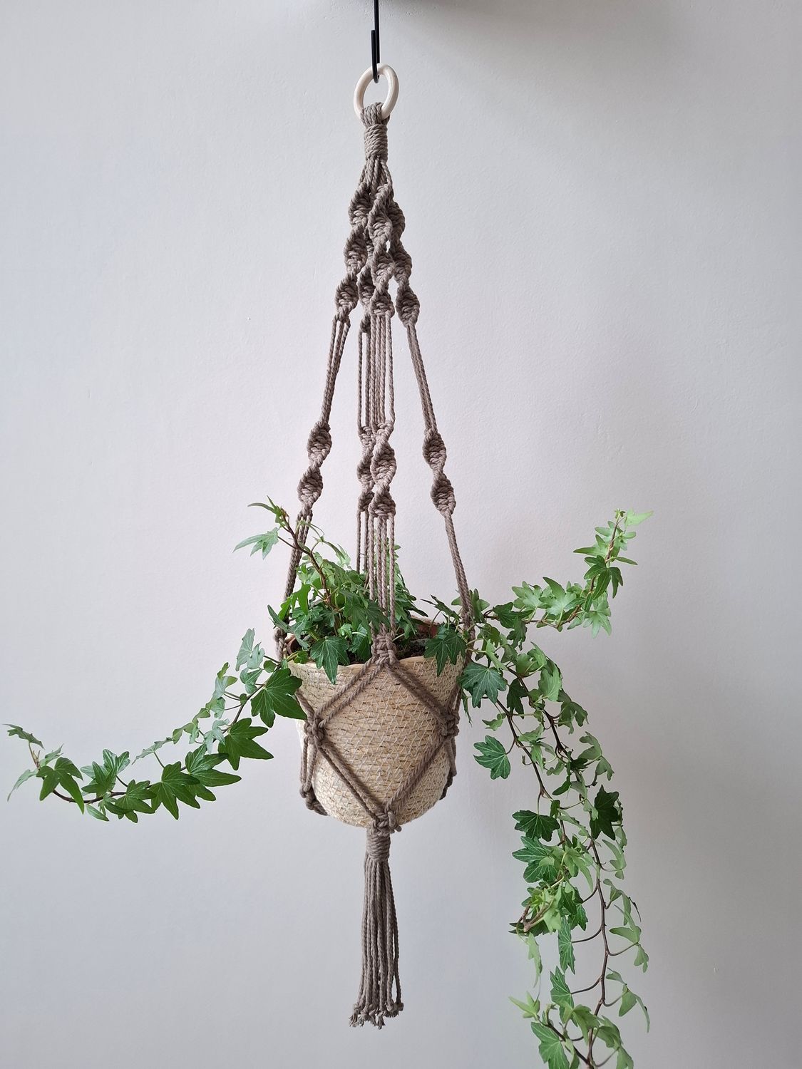 Plantenhanger basic - bruin